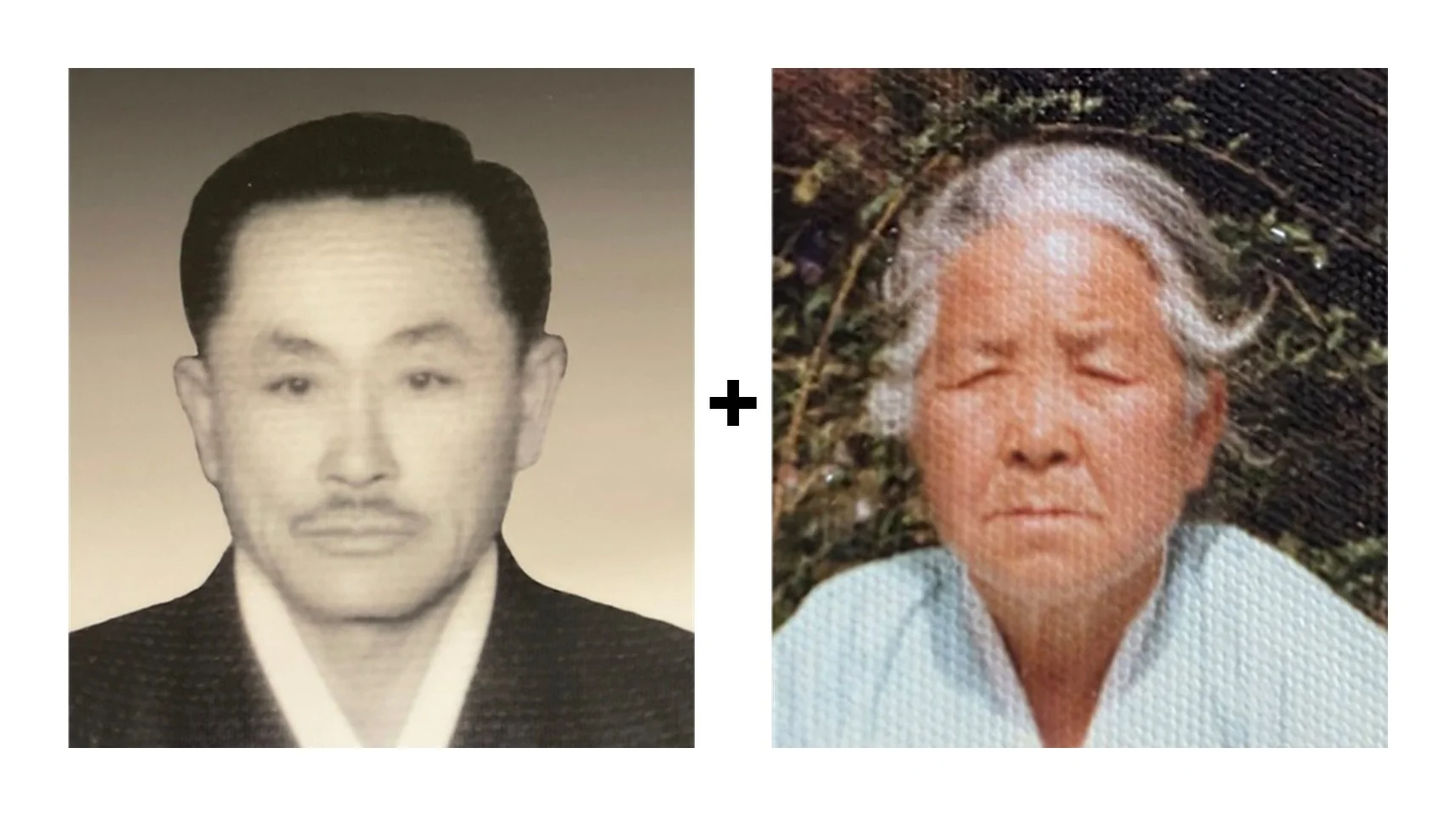 납골용 두 분 합성 — 옛 흑백과 변색 컬러를 벚꽃 한 자리로 4R 원본