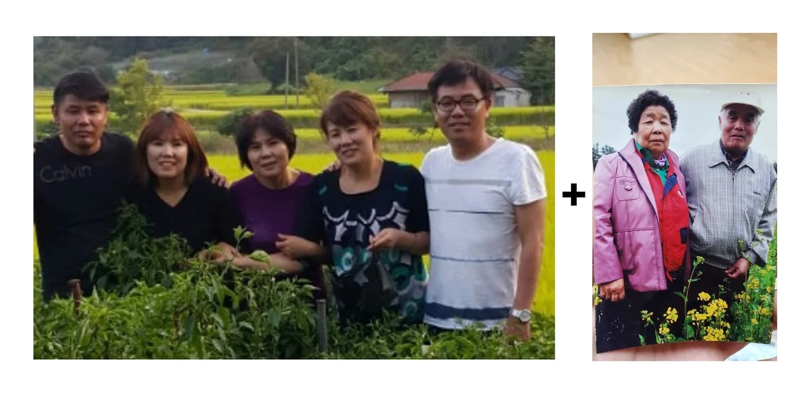 Urn-size family composite — five children and an elderly couple, seven people in the fields, 4R — original