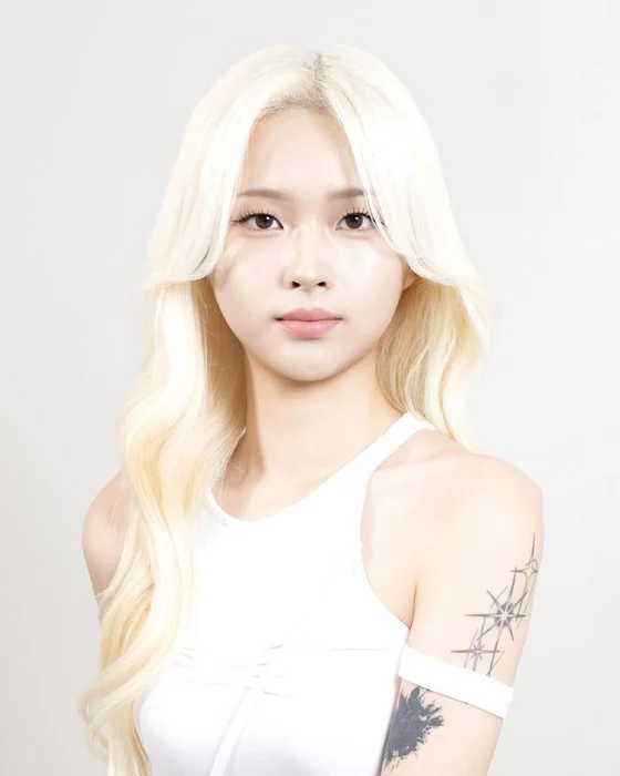 컬러 배경 메인 사진 예시