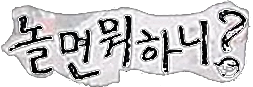 놀면 뭐하니?